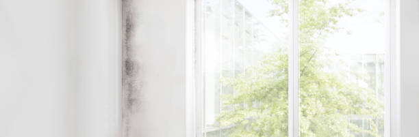 Mold Remediation for Vacation Homes in Garrett, TX